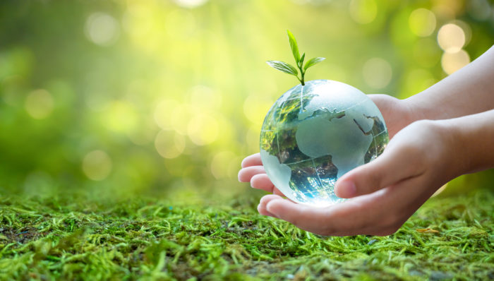 Earth Day: 7 online courses to inspire climate action